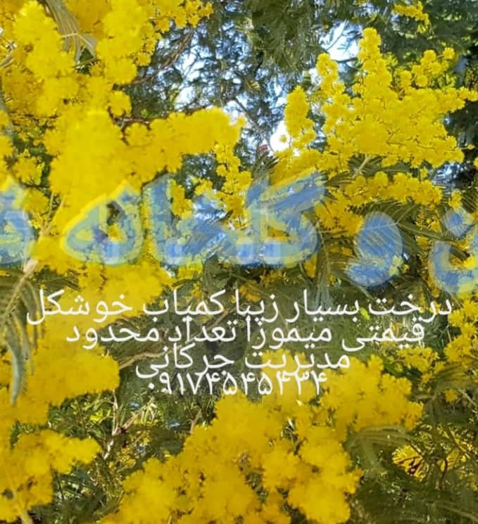 نمونه شماره9