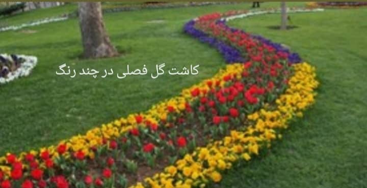 نمونه شماره5