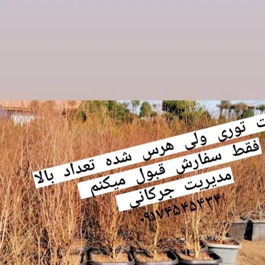نمونه شماره6