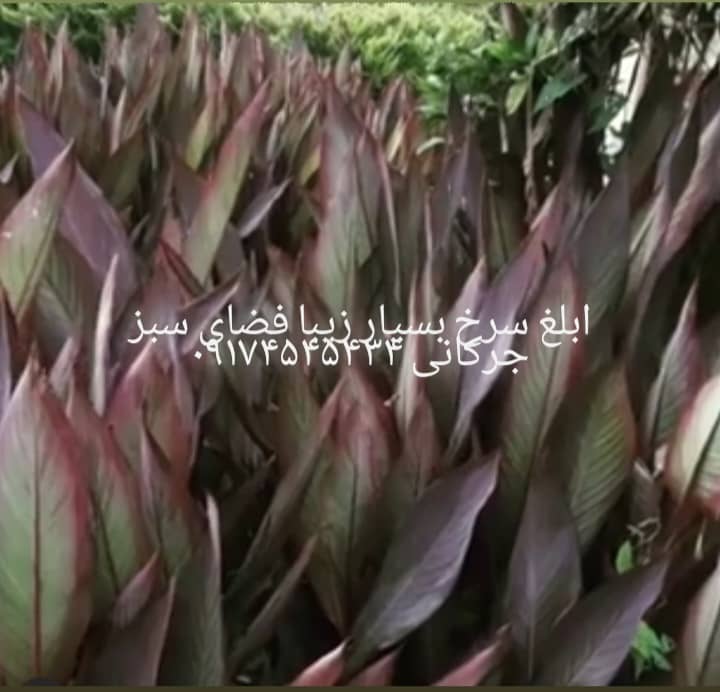 نمونه شماره8