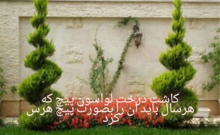 نمونه شماره5