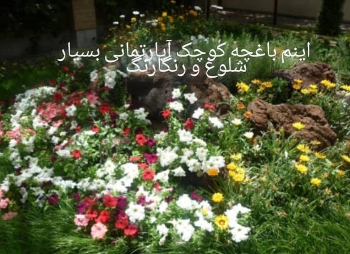 نمونه شماره7