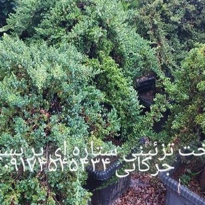 نمونه شماره8
