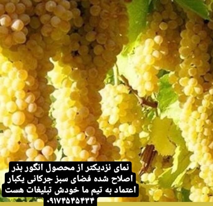 نمونه شماره3