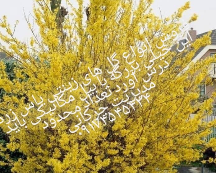 نمونه شماره10