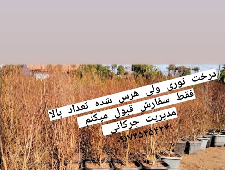 نمونه شماره10